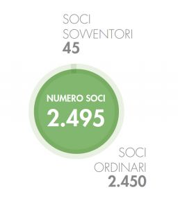 grafico-soci