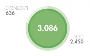 grafico-soci-dipendenti